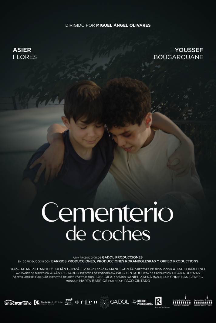 Cementerio de coches
