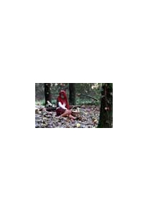 EN EL BOSQUE