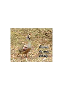 DIARIO DE UNA PERDIZ