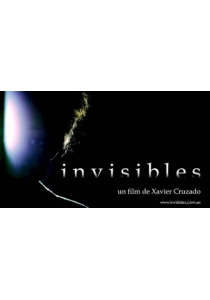 INVISIBLES