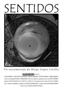 SENTIDOS