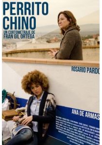 PERRITO CHINO