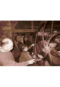 MOLINO DE ACEITE DE TRONCEDO. NUESTRA HISTORIA DE AYER.