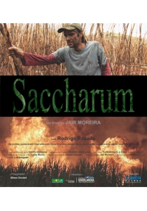SACCHARUM