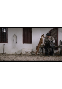 COCOTE, HISTORIA DE UN PERRO